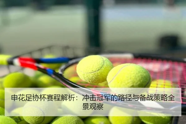 申花足协杯赛程解析：冲击冠军的路径与备战策略全景观察